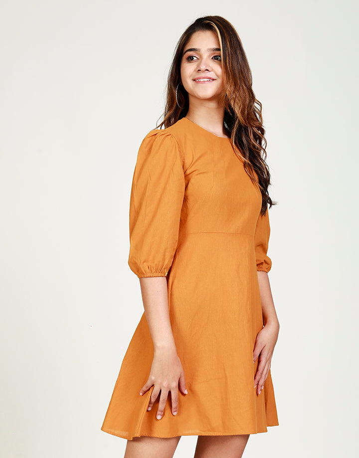 A-Line Dress with Bishop Sleeves