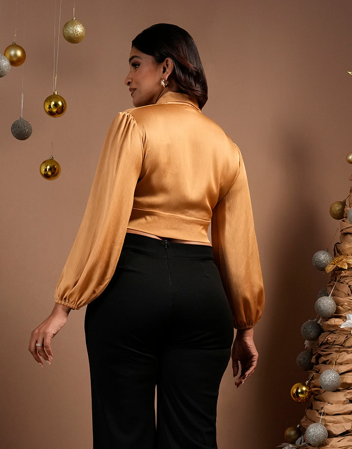 Long Puff Sleeve Satin Crop Top
