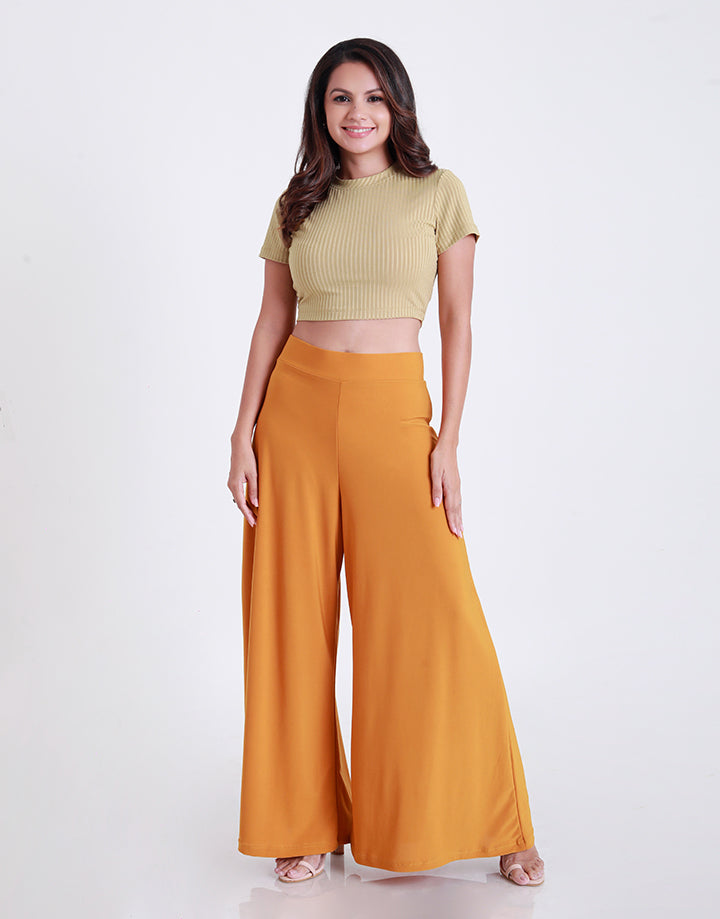 High Waisted Flared Pant