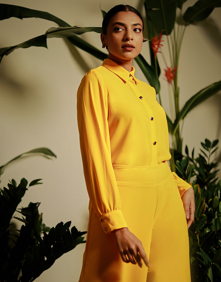 Long Sleeve  Button Down Shirt