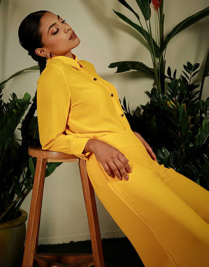 Long Sleeve  Button Down Shirt