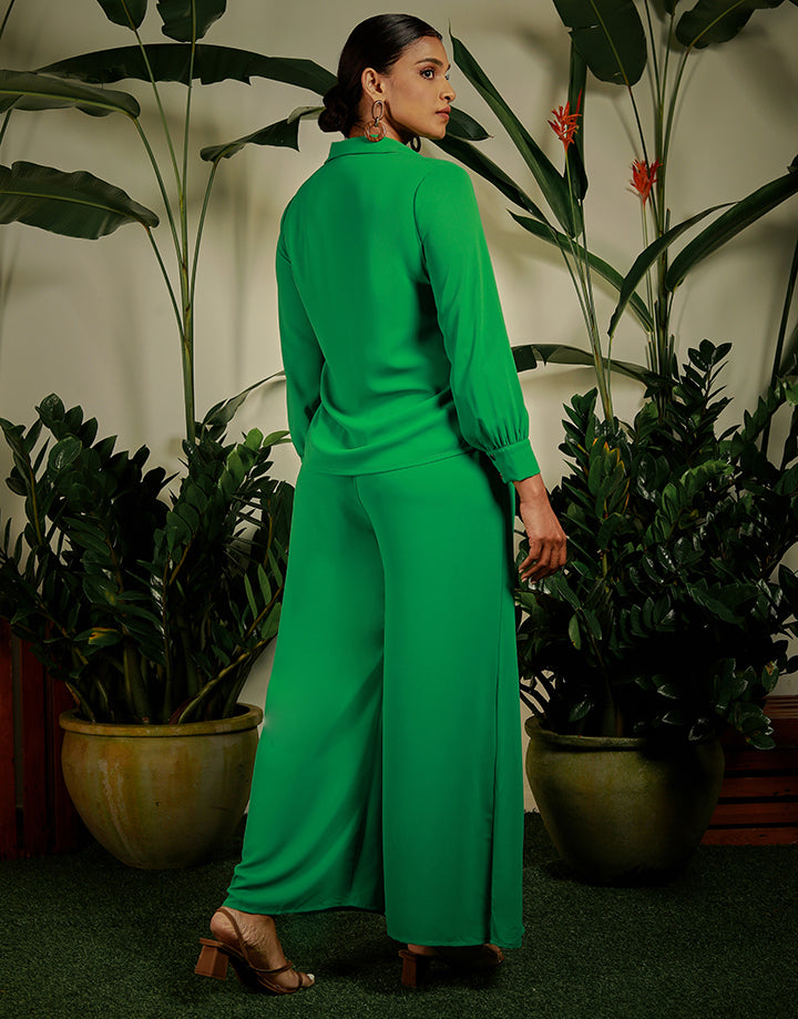 Long Sleeve  Button Down Shirt