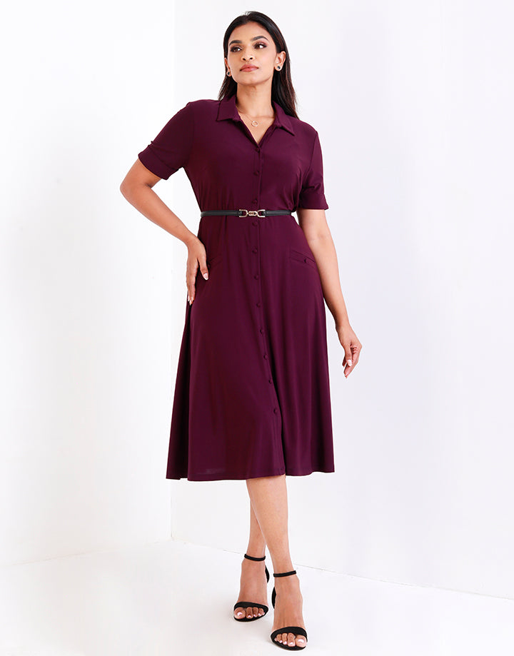 Flared Midi Dress with Shirt Collar