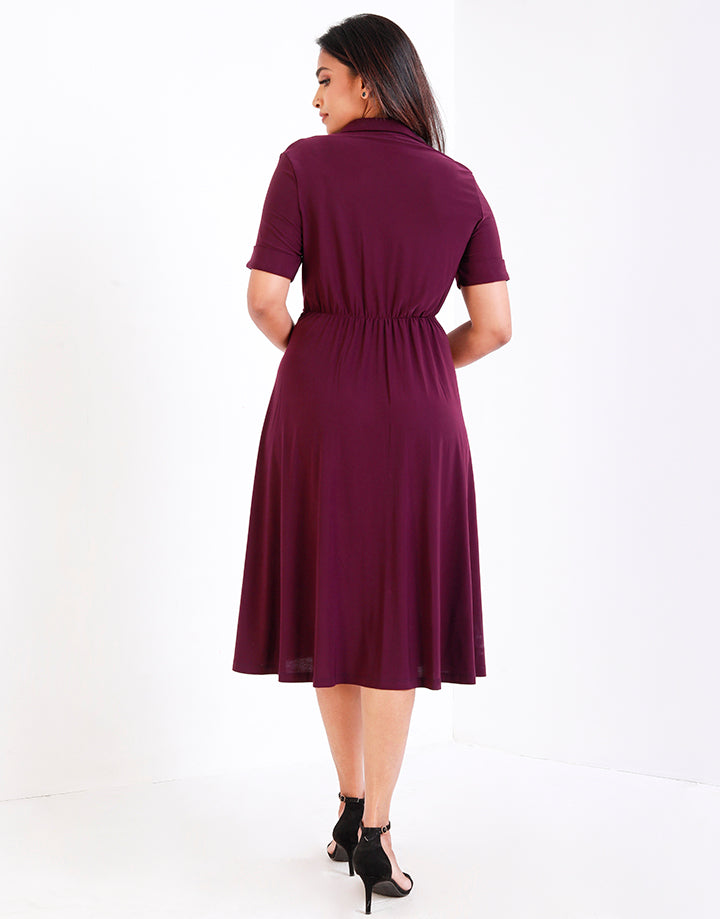 Flared Midi Dress with Shirt Collar