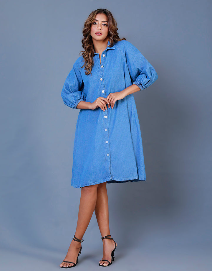 Reglan Sleeve Chambray Shirt Dress