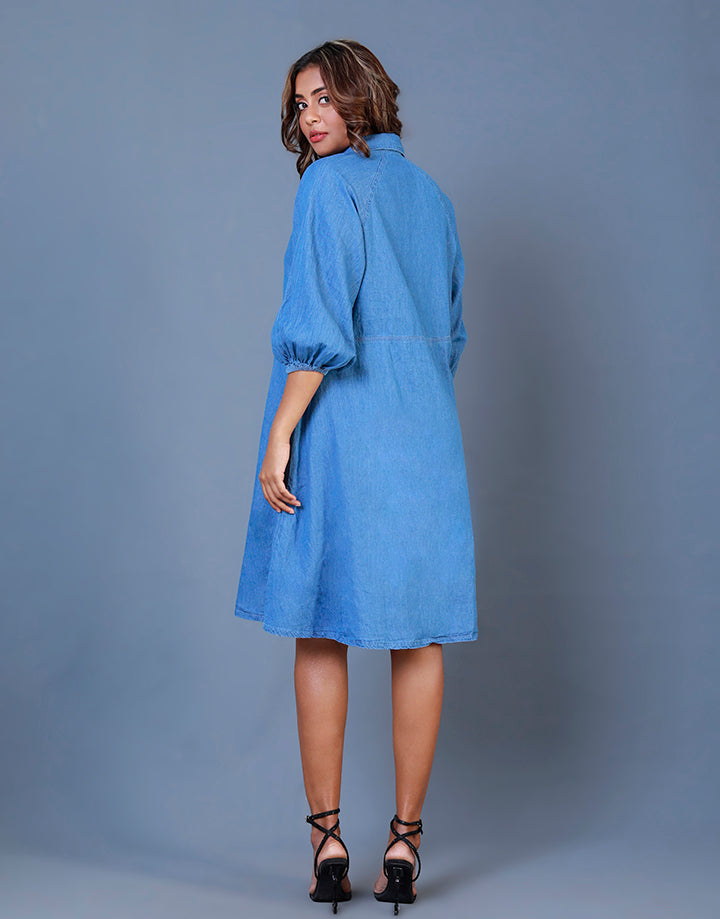 Reglan Sleeve Chambray Shirt Dress