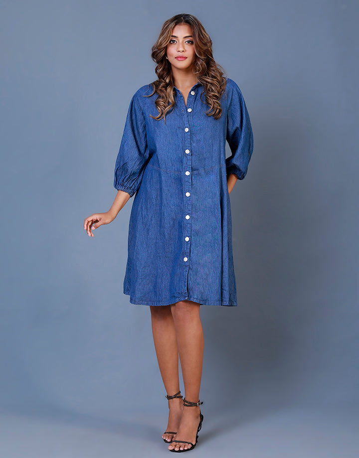 Reglan Sleeve Chambray Shirt Dress